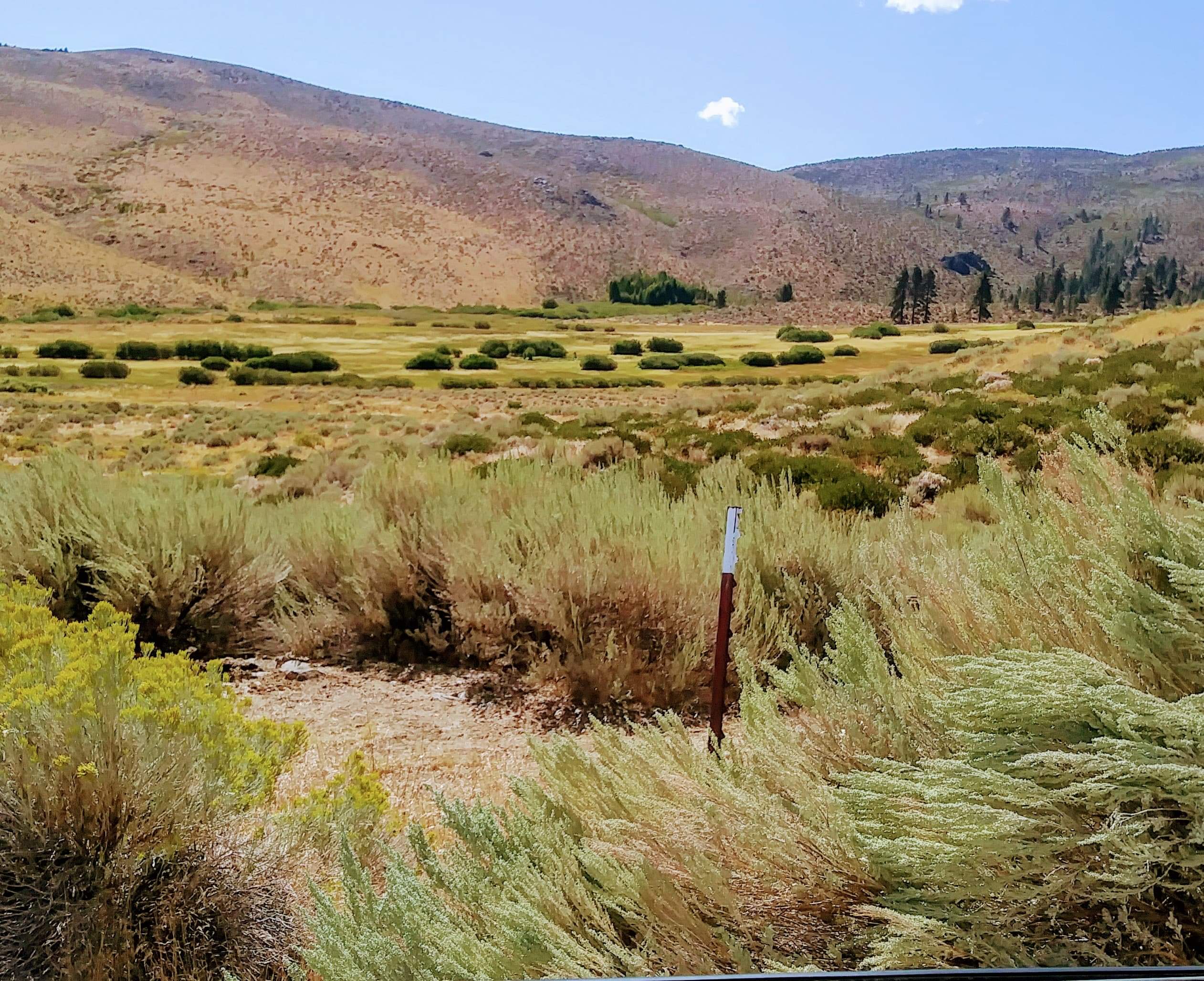 special-meeting-of-the-nevada-rural-housing-board-of-commissioners-may